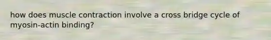 how does muscle contraction involve a cross bridge cycle of myosin-actin binding?