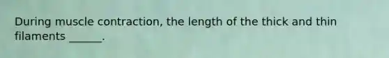 During muscle contraction, the length of the thick and thin filaments ______.