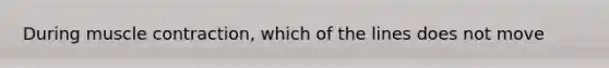 During muscle contraction, which of the lines does not move