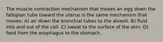 The muscle contraction mechanism that moves an egg down the fallopian tube toward the uterus is the same mechanism that moves: A) air down the bronchial tubes to the alveoli. B) fluid into and out of the cell. C) sweat to the surface of the skin. D) food from the esophagus to the stomach.