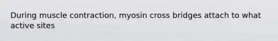 During <a href='https://www.questionai.com/knowledge/k0LBwLeEer-muscle-contraction' class='anchor-knowledge'>muscle contraction</a>, myosin cross bridges attach to what active sites