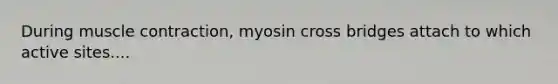 During muscle contraction, myosin cross bridges attach to which active sites....