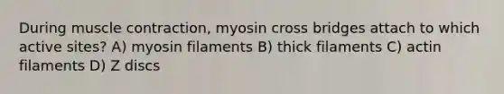 During muscle contraction, myosin cross bridges attach to which active sites? A) myosin filaments B) thick filaments C) actin filaments D) Z discs