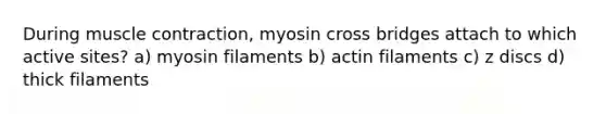 During muscle contraction, myosin cross bridges attach to which active sites? a) myosin filaments b) actin filaments c) z discs d) thick filaments