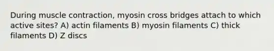 During muscle contraction, myosin cross bridges attach to which active sites? A) actin filaments B) myosin filaments C) thick filaments D) Z discs