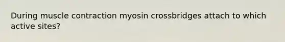 During muscle contraction myosin crossbridges attach to which active sites?