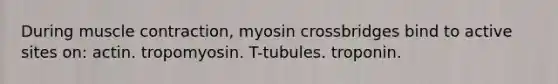 During muscle contraction, myosin crossbridges bind to active sites on: actin. tropomyosin. T-tubules. troponin.