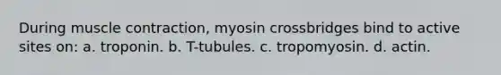 During muscle contraction, myosin crossbridges bind to active sites on: a. troponin. b. T-tubules. c. tropomyosin. d. actin.