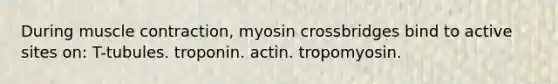 During muscle contraction, myosin crossbridges bind to active sites on: T-tubules. troponin. actin. tropomyosin.