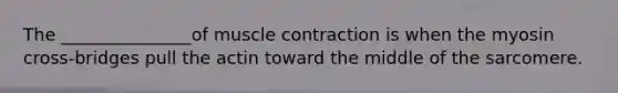 The _______________of muscle contraction is when the myosin cross-bridges pull the actin toward the middle of the sarcomere.