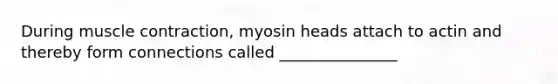 During muscle contraction, myosin heads attach to actin and thereby form connections called _______________