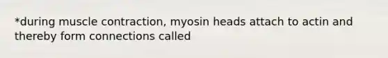 *during muscle contraction, myosin heads attach to actin and thereby form connections called