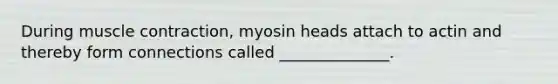 During muscle contraction, myosin heads attach to actin and thereby form connections called ______________.