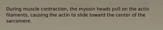 During <a href='https://www.questionai.com/knowledge/k0LBwLeEer-muscle-contraction' class='anchor-knowledge'>muscle contraction</a>, the myosin heads pull on the actin filaments, causing the actin to slide toward the center of the sarcomere.