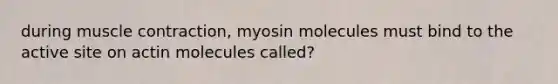 during <a href='https://www.questionai.com/knowledge/k0LBwLeEer-muscle-contraction' class='anchor-knowledge'>muscle contraction</a>, myosin molecules must bind to the active site on actin molecules called?