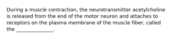 During a muscle contraction, the neurotransmitter acetylcholine is released from the end of the motor neuron and attaches to receptors on the plasma membrane of the muscle fiber, called the _______________.