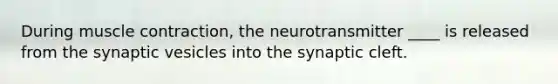 During <a href='https://www.questionai.com/knowledge/k0LBwLeEer-muscle-contraction' class='anchor-knowledge'>muscle contraction</a>, the neurotransmitter ____ is released from the synaptic vesicles into the synaptic cleft.