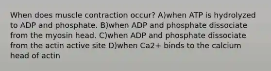 When does muscle contraction occur? A)when ATP is hydrolyzed to ADP and phosphate. B)when ADP and phosphate dissociate from the myosin head. C)when ADP and phosphate dissociate from the actin active site D)when Ca2+ binds to the calcium head of actin