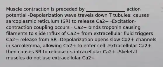 Muscle contraction is preceded by _________________ action potential -Depolarization wave travels down T tubules; causes sarcoplasmic reticulum (SR) to release Ca2+ -Excitation-contraction coupling occurs - Ca2+ binds troponin causing filaments to slide Influx of Ca2+ from extracellular fluid triggers Ca2+ release from SR -Depolarization opens slow Ca2+ channels in sarcolemma, allowing Ca2+ to enter cell -Extracellular Ca2+ then causes SR to release its intracellular Ca2+ -Skeletal muscles do not use extracellular Ca2+