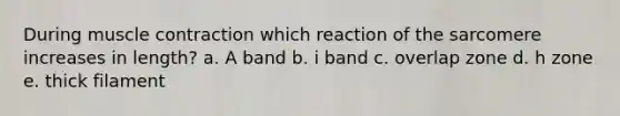 During muscle contraction which reaction of the sarcomere increases in length? a. A band b. i band c. overlap zone d. h zone e. thick filament