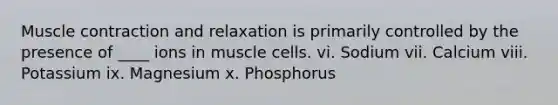 Muscle contraction and relaxation is primarily controlled by the presence of ____ ions in muscle cells. vi. Sodium vii. Calcium viii. Potassium ix. Magnesium x. Phosphorus