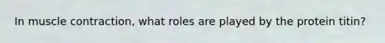 In muscle contraction, what roles are played by the protein titin?