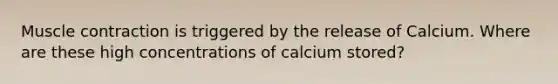 Muscle contraction is triggered by the release of Calcium. Where are these high concentrations of calcium stored?