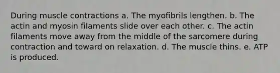 During <a href='https://www.questionai.com/knowledge/k0LBwLeEer-muscle-contraction' class='anchor-knowledge'>muscle contraction</a>s a. The myofibrils lengthen. b. The actin and myosin filaments slide over each other. c. The actin filaments move away from the middle of the sarcomere during contraction and toward on relaxation. d. The muscle thins. e. ATP is produced.