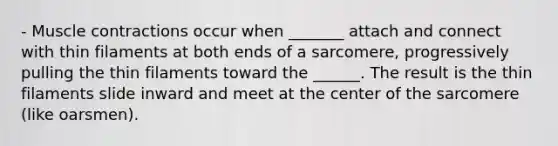 - Muscle contractions occur when _______ attach and connect with thin filaments at both ends of a sarcomere, progressively pulling the thin filaments toward the ______. The result is the thin filaments slide inward and meet at the center of the sarcomere (like oarsmen).