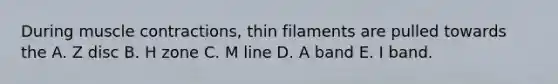 During muscle contractions, thin filaments are pulled towards the A. Z disc B. H zone C. M line D. A band E. I band.