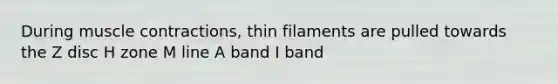 During muscle contractions, thin filaments are pulled towards the Z disc H zone M line A band I band