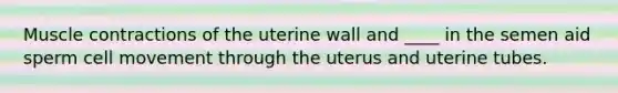 Muscle contractions of the uterine wall and ____ in the semen aid sperm cell movement through the uterus and uterine tubes.