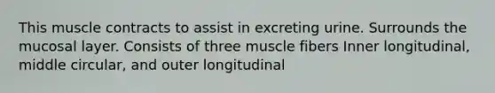 This muscle contracts to assist in excreting urine. Surrounds the mucosal layer. Consists of three muscle fibers Inner longitudinal, middle circular, and outer longitudinal