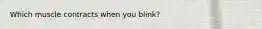 Which muscle contracts when you blink?