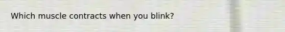 Which muscle contracts when you blink?