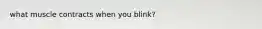 what muscle contracts when you blink?