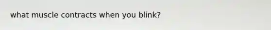 what muscle contracts when you blink?