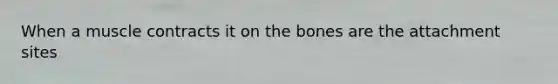 When a muscle contracts it on the bones are the attachment sites