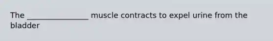 The ________________ muscle contracts to expel urine from the bladder