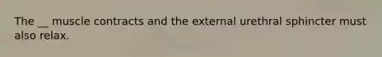 The __ muscle contracts and the external urethral sphincter must also relax.