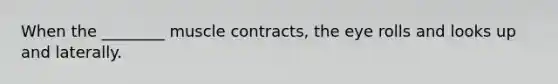 When the ________ muscle contracts, the eye rolls and looks up and laterally.