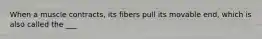 When a muscle contracts, its fibers pull its movable end, which is also called the ___