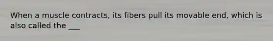 When a muscle contracts, its fibers pull its movable end, which is also called the ___