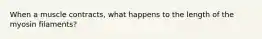 When a muscle contracts, what happens to the length of the myosin filaments?