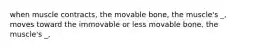 when muscle contracts, the movable bone, the muscle's _, moves toward the immovable or less movable bone, the muscle's _,