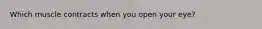 Which muscle contracts when you open your eye?