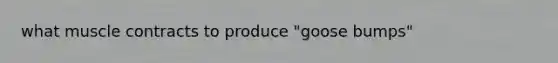 what muscle contracts to produce "goose bumps"