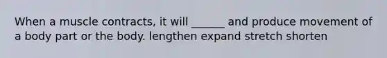 When a muscle contracts, it will ______ and produce movement of a body part or the body. lengthen expand stretch shorten