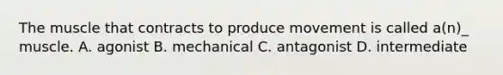 The muscle that contracts to produce movement is called a(n)_ muscle. A. agonist B. mechanical C. antagonist D. intermediate