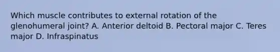 Which muscle contributes to external rotation of the glenohumeral joint? A. Anterior deltoid B. Pectoral major C. Teres major D. Infraspinatus